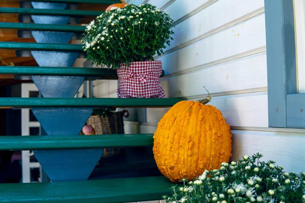 Fall decoration on steps to the house.